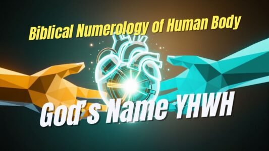 The Human Body — A Living Temple Reflecting God’s Name through Divine Numbers, Biblical Numerology of Human Body, Spiritual Anatomy, Temple of God, Human Body in Bible, Body as Temple,