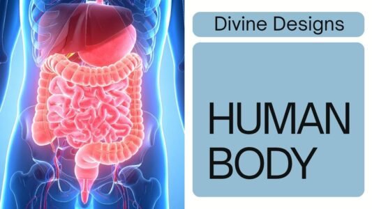 The Human Body — A Living Temple Reflecting God’s Name through Divine Numbers, Biblical Numerology of Human Body, Spiritual Anatomy, Temple of God, Human Body in Bible, Body as Temple,