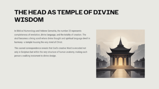 Explore the 32 Paths of Wisdom, Kabbalah, and Scripture, and understand the deep connection between the 22 skull bones and the 22 Hebrew alphabet letters. Learn how divine order links spirituality, anatomy, and biblical wisdom in Part 2.