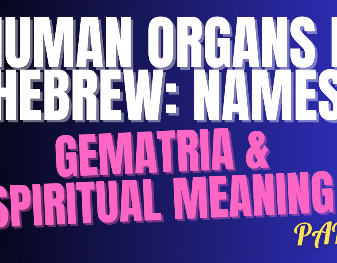 Human Organs in Hebrew: Names, Gematria & Spiritual Meaning (PART 2)