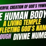 The Human Body — A Living Temple Reflecting God’s Name through Divine Numbers, Biblical Numerology of Human Body, Spiritual Anatomy, Temple of God, Human Body in Bible, Body as Temple,