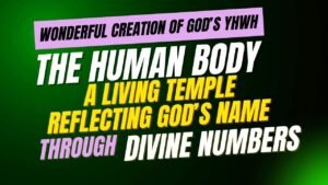 The Human Body — A Living Temple Reflecting God’s Name through Divine Numbers, Biblical Numerology of Human Body, Spiritual Anatomy, Temple of God, Human Body in Bible, Body as Temple,
