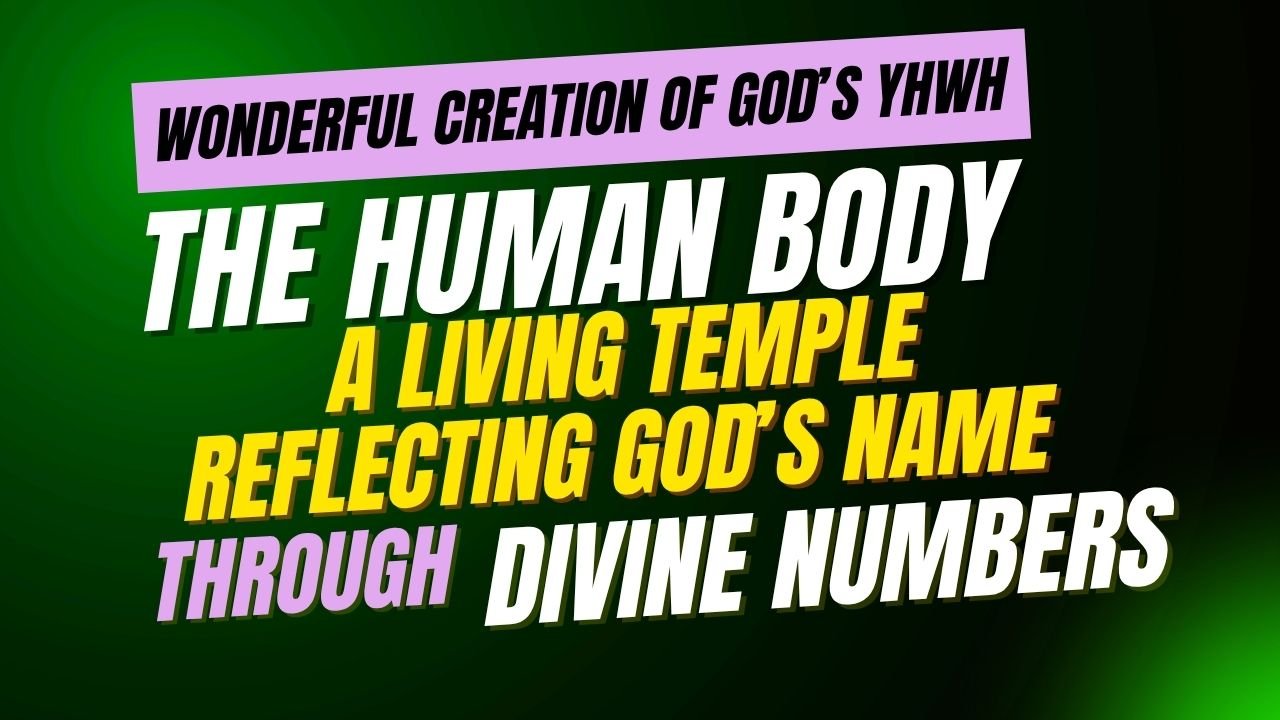 The Human Body — A Living Temple Reflecting God’s Name through Divine Numbers, Biblical Numerology of Human Body, Spiritual Anatomy, Temple of God, Human Body in Bible, Body as Temple,