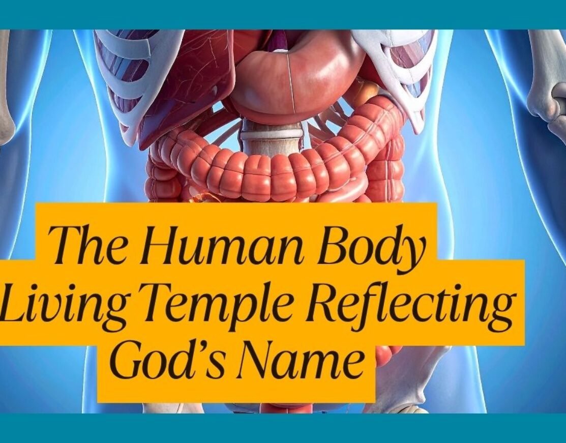 Biblical Numerology Reveals How God’s Name Is Written in the Human Form