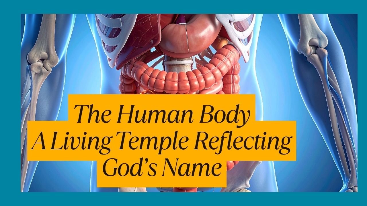 Biblical Numerology Reveals How God’s Name Is Written in the Human Form