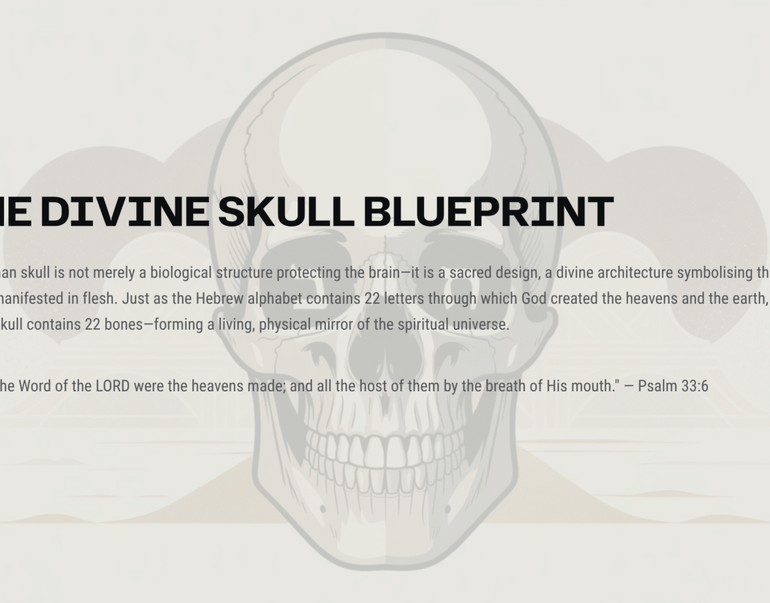 Explore the 32 Paths of Wisdom, Kabbalah, and Scripture, and understand the deep connection between the 22 skull bones and the 22 Hebrew alphabet letters. Learn how divine order links spirituality, anatomy, and biblical wisdom in Part 2.