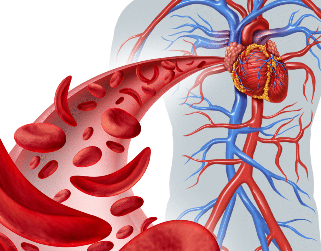 The YHWH Code in the Human Body | Deep Spiritual and Numerical Connections in Hebrew Gematria | The YHWH Code: Central Numerical Value 26
